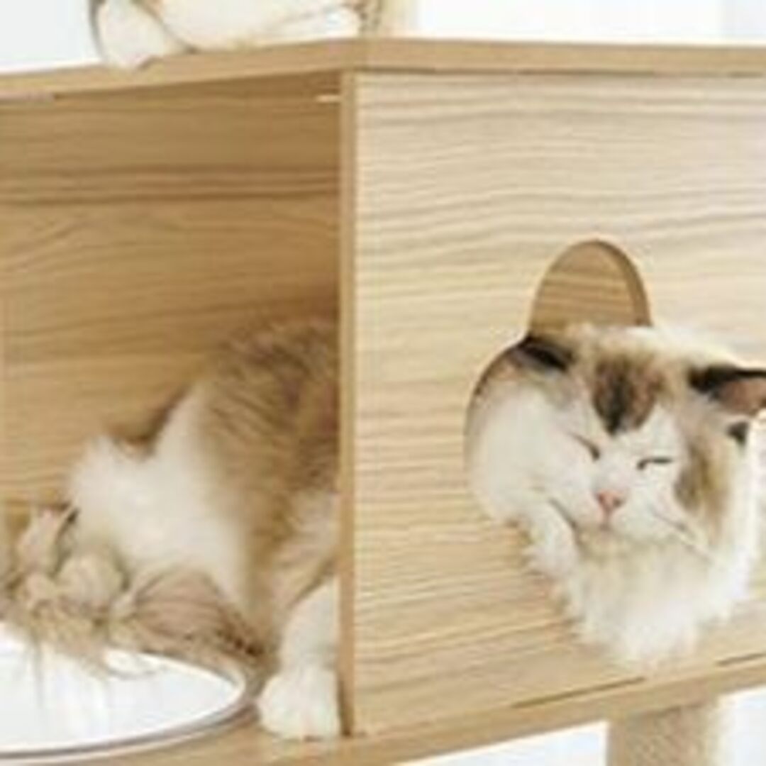 キャットタワー 木製 宇宙船 大型 多頭飼い 据え置き型 大型猫 キャットタワー 木製 宇宙船 大型 多頭飼い 据え置き型 大型猫