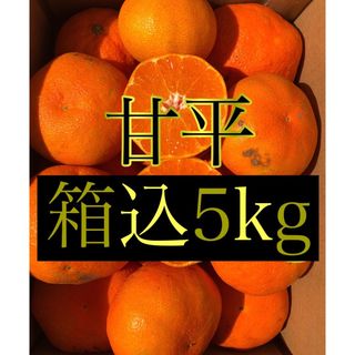 愛媛県産 ミカン 家庭用 甘平 箱込5kg 柑橘 果物みかん(フルーツ)