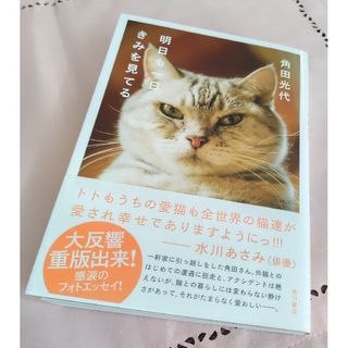 カドカワショテン(角川書店)の🔺値下げ🔻明日も一日きみを見てる(趣味/スポーツ/実用)