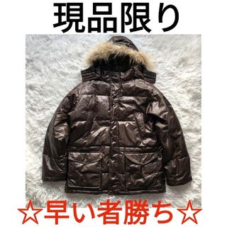 ウールリッチ(WOOLRICH)のウールリッチ　ダウンジャケット　ラクーンファー脱着可　ブラウン　L　現品限り(ダウンジャケット)