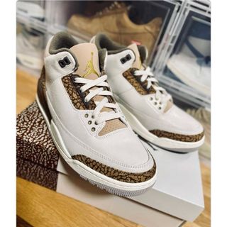 ジョーダン(Jordan Brand（NIKE）)のNike Air Jordan 3 Retro Orewood Brown(スニーカー)