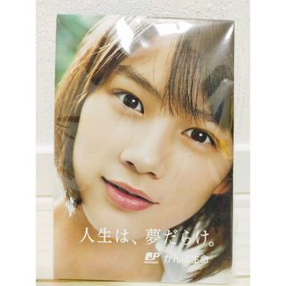 のん☆かんぽ生命☆非売品メモ帳☆能年玲奈(女性タレント)