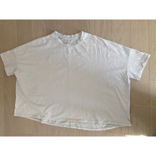 NOUVELLES DU PARADIS ヌーベルドゥパラディ/半袖/綿100%(Tシャツ(半袖/袖なし))