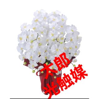 光触媒　人工観葉植物　フェイクグリーン　MSエレガント胡蝶蘭7本立W(置物)
