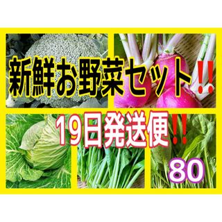 【限定商品‼️】新鮮お野菜セット‼️2/19日発送‼️(野菜)