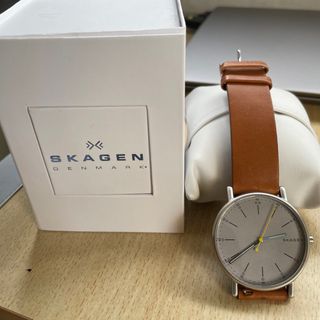 スカーゲン(SKAGEN)のSKAGEN SKW6040(腕時計(アナログ))