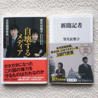 清朝と近代世界――19世紀〈シリーズ 中国近現代史 1〉 (岩波新書) 吉澤