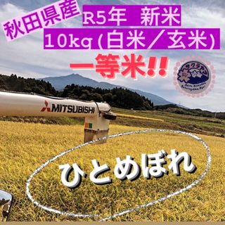 ★令和5年 ‪新米  ひとめぼれ 10kg  一等米級 秋田県産 産地直送★ (米/穀物)