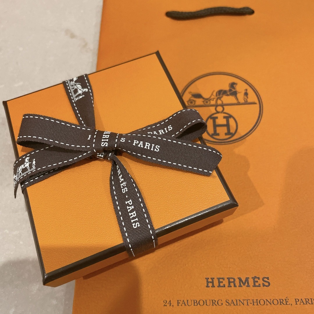 Hermes(エルメス)の新品未使用 エルメス ポップH ポップアッシュ マロングラッセ ピアス レディースのアクセサリー(ピアス)の商品写真