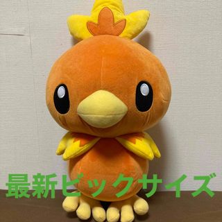 ポケモン - ポケットモンスター限定 ポケモン ぬいぐるみ 黒いメガ