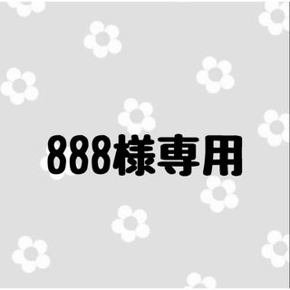 888様専用(つけ爪/ネイルチップ)