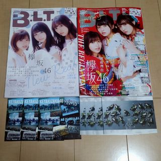 ケヤキザカフォーティーシックス(欅坂46(けやき坂46))の月刊 B.L.T 2019年2月号 欅坂46　2冊とおまけ(アート/エンタメ/ホビー)