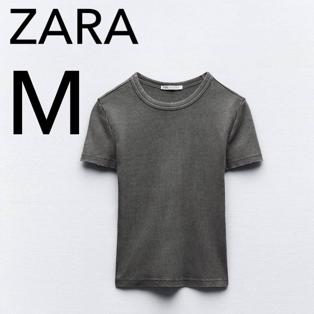ZARA(ザラ)のZARA リブグラデーショントップス　Tシャツ　新品 レディースのトップス(Tシャツ(半袖/袖なし))の商品写真