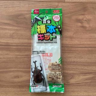 DAISO - 昆虫　標本キット　1袋