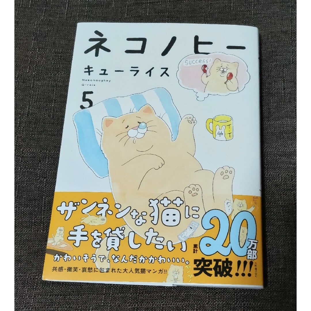 角川書店(カドカワショテン)のネコノヒー5巻 エンタメ/ホビーの漫画(4コマ漫画)の商品写真