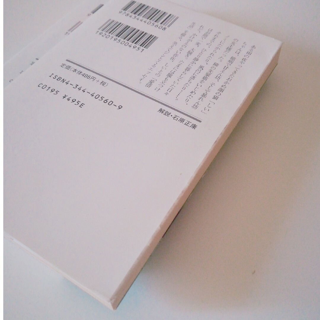 幻冬舎(ゲントウシャ)の群ようこ　初版文庫2冊　おかめなふたり　音の細道　幻冬舎　セット売り エンタメ/ホビーの本(その他)の商品写真