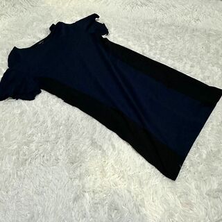 インディヴィ(INDIVI)の【INDIVI】Tシャツ　40号　Lサイズ　ブルー×ブラック　コットン　日本製(Tシャツ(半袖/袖なし))