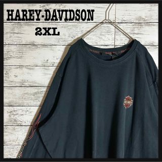 ハーレーダビッドソン(Harley Davidson)の【人気デザイン】ハーレーダビッドソン☆ファイヤーパターン　ビックサイズ(Tシャツ/カットソー(七分/長袖))