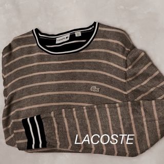 ラコステ(LACOSTE)のLACOSTE  コットンニット  トレーナー M (ニット/セーター)