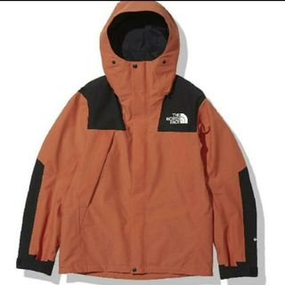 ザノースフェイス(THE NORTH FACE)のThe North Face Mountain Jacket NP61800(マウンテンパーカー)