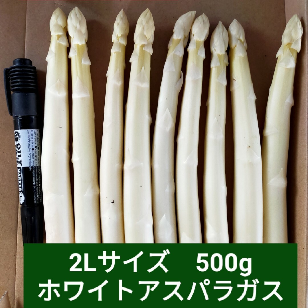 ２Lサイズ 　ホワイトアスパラガス500g 食品/飲料/酒の食品(野菜)の商品写真