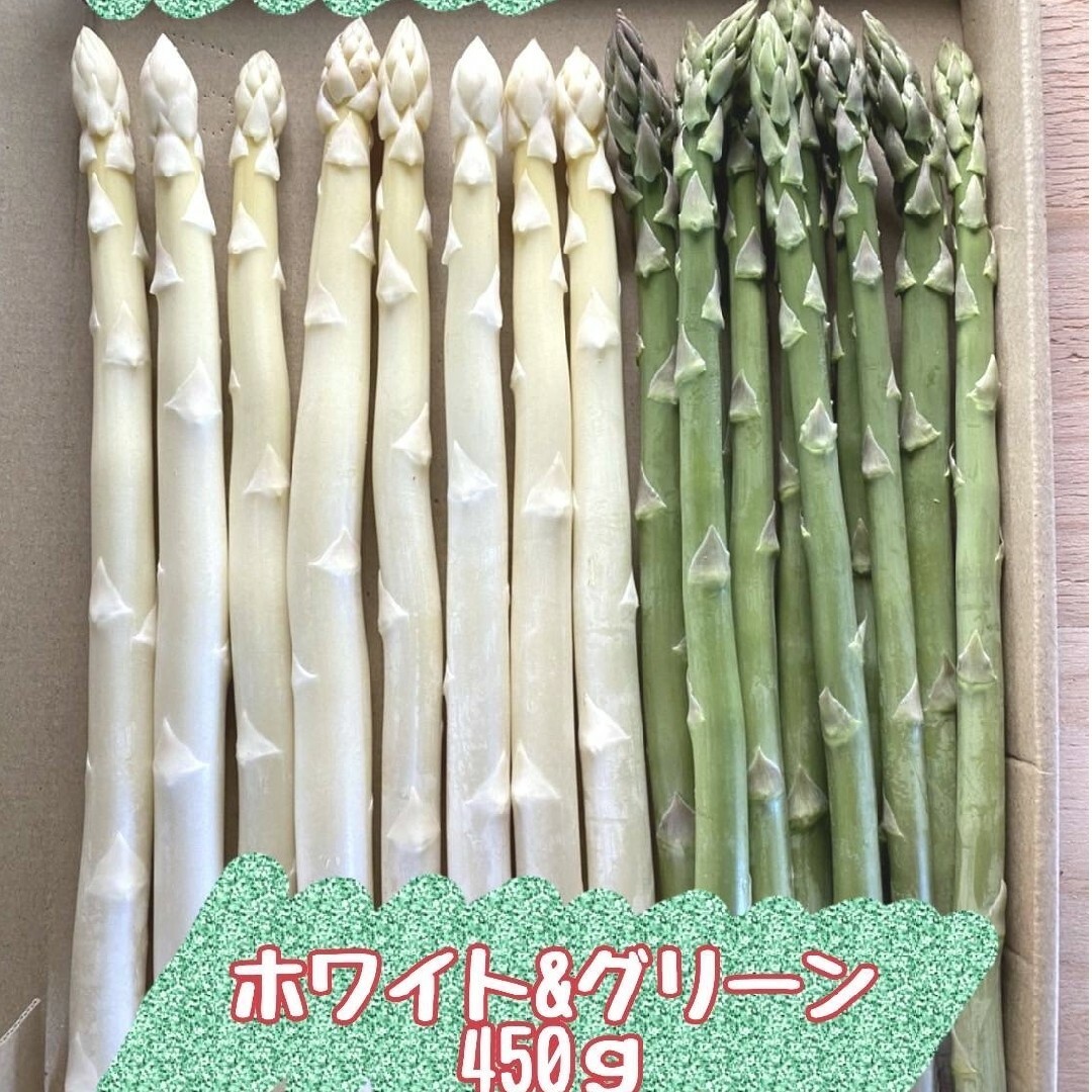 よくばりセット　ホワイト&グリーンアスパラガス450g 食品/飲料/酒の食品(野菜)の商品写真