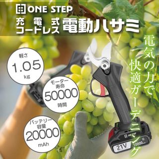 剪定ばさみ 電動 ケース付き 園芸用 コードレス 充電式 剪定ハサミ (工具/メンテナンス)