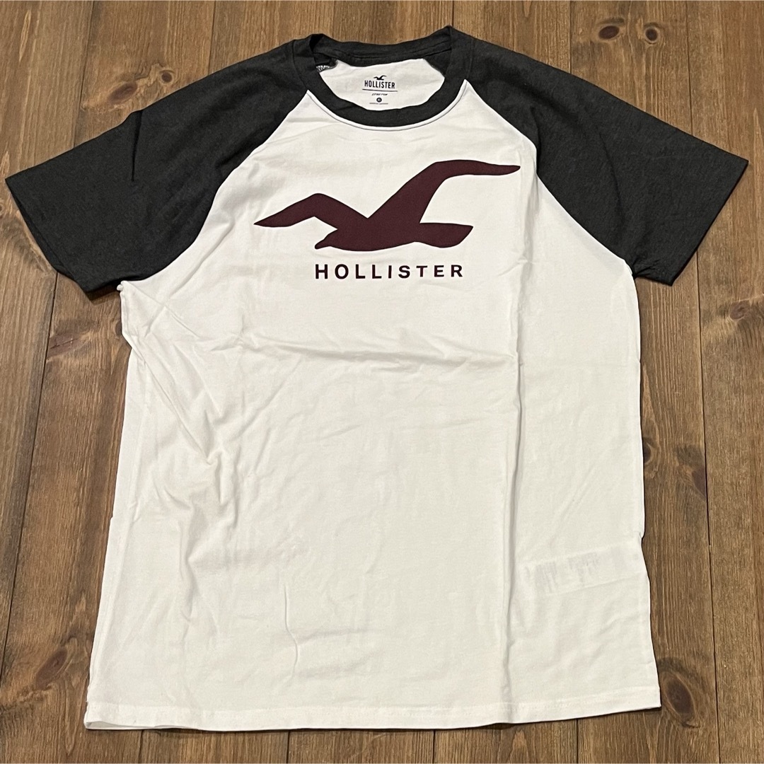 Hollister(ホリスター)の【まとめ売り】ホリスター✳︎Tシャツ✳︎半袖✳︎夏服✳︎2枚組✳︎アメカジ メンズのトップス(Tシャツ/カットソー(半袖/袖なし))の商品写真