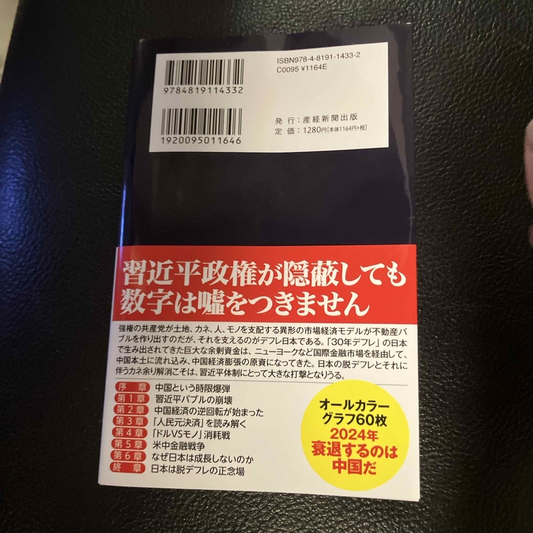 中国経済衰退の真実 エンタメ/ホビーの本(文学/小説)の商品写真