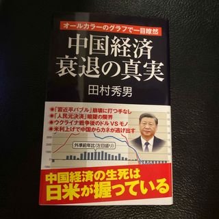 中国経済衰退の真実(文学/小説)