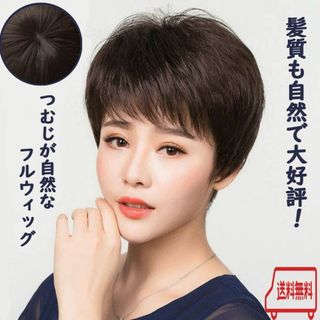 週末限定価格【ウィッグ】ダークブラウン　さらさらショート（ネット付・つむじ有り）(ショートストレート)