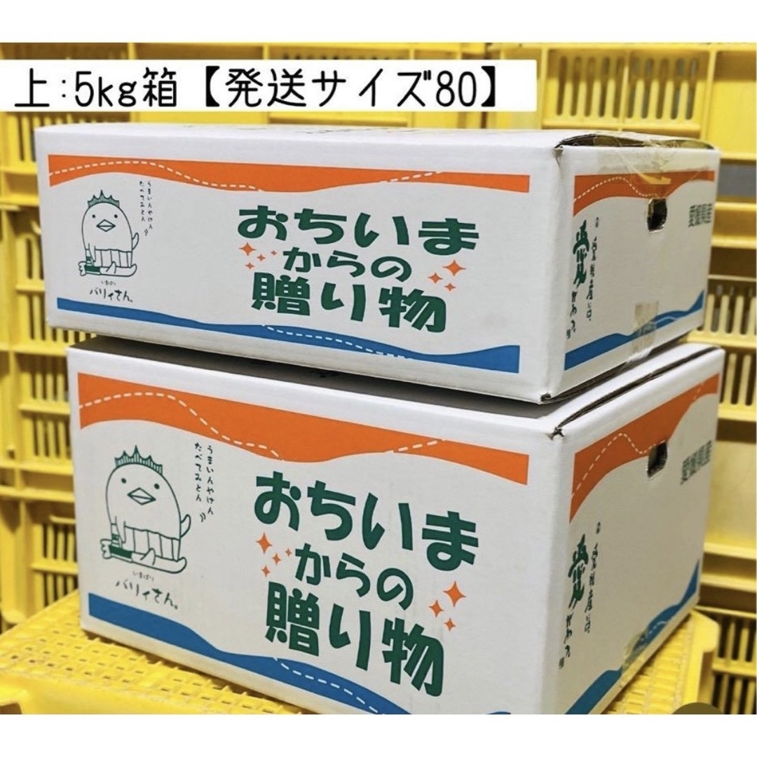 愛媛みかん(エヒメミカン)の【甘平】（かんぺい）農家直送　減農薬栽培　5kg箱 食品/飲料/酒の食品(フルーツ)の商品写真