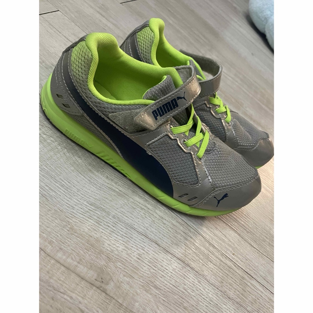 PUMA(プーマ)の中古美品kidsPUMAスニーカー👟23.5 キッズ/ベビー/マタニティのベビー靴/シューズ(~14cm)(スニーカー)の商品写真