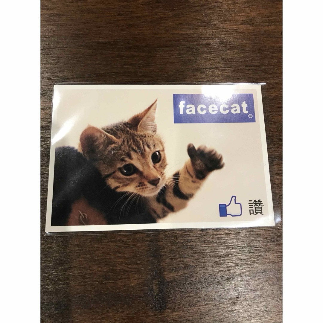 雑貨　facecat  絵はがき 猫　Facebook フェイスブック その他のペット用品(猫)の商品写真