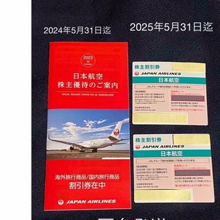 JAL 日本航空 株主優待券 2枚　2025年5月31日まで　A(その他)