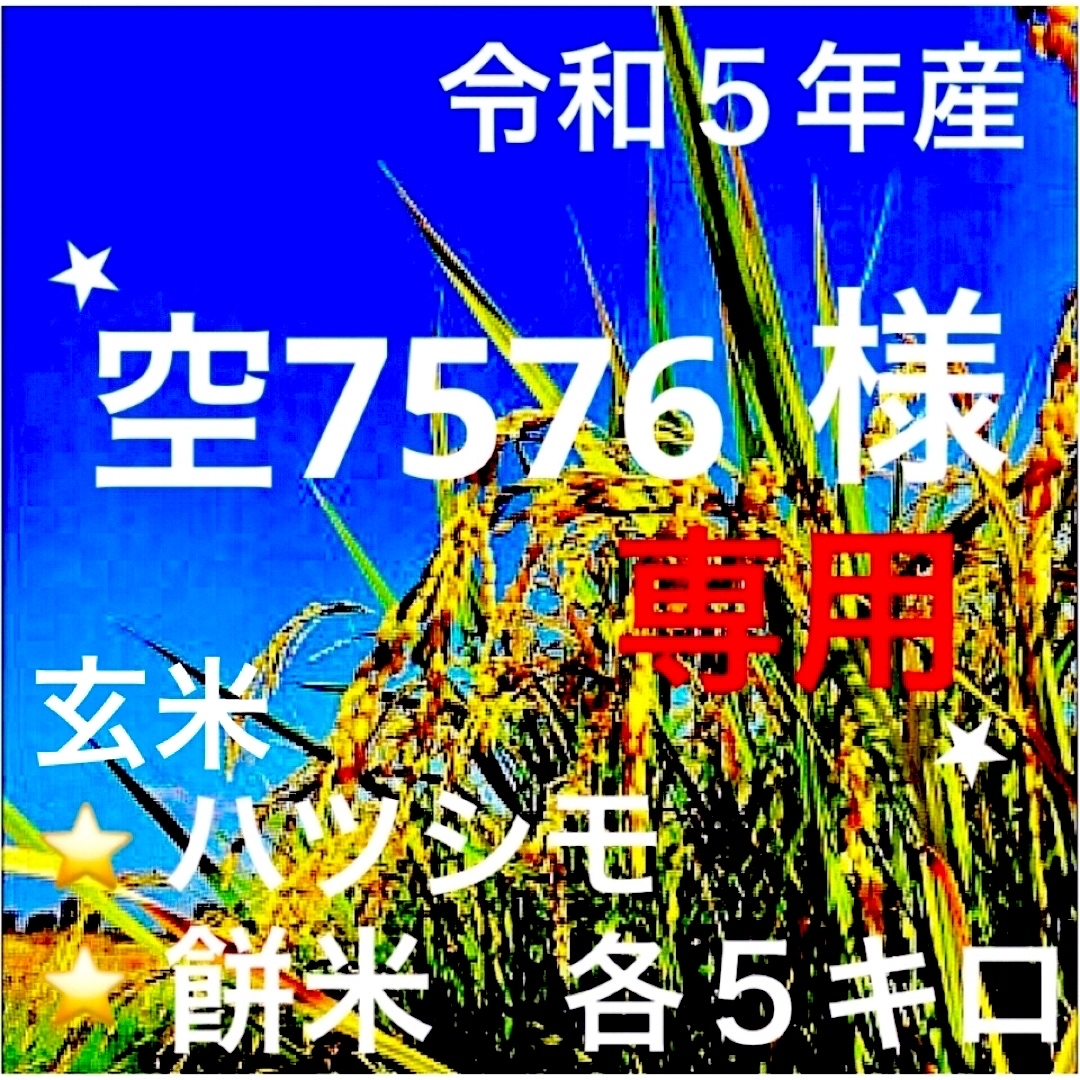 ⭐️空7576様専用⭐️ R５年産✳️ハツシモ&餅米・玄米各５キロ 食品/飲料/酒の食品(米/穀物)の商品写真