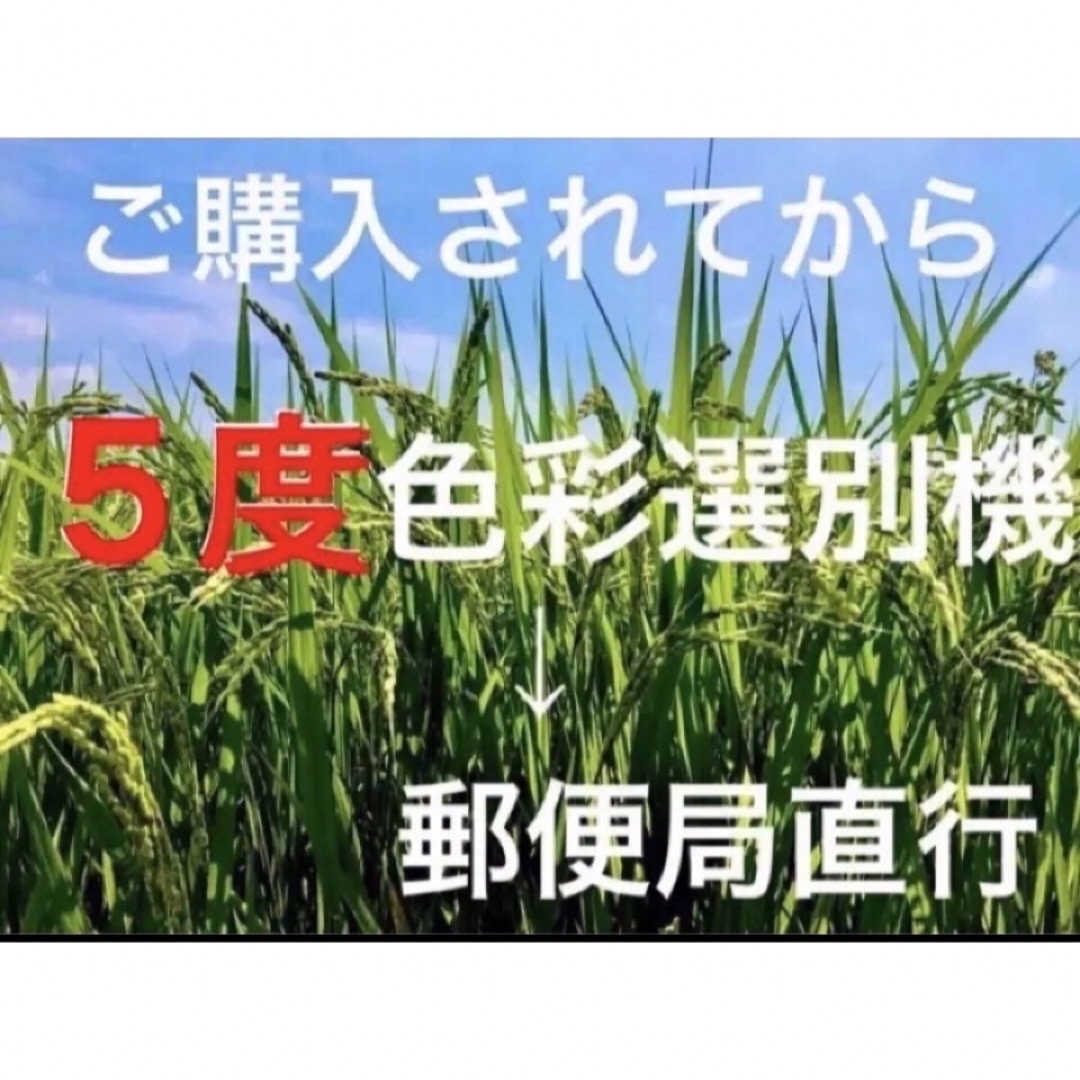 ⭐️空7576様専用⭐️ R５年産✳️ハツシモ&餅米・玄米各５キロ 食品/飲料/酒の食品(米/穀物)の商品写真