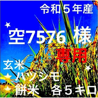 ⭐️空7576様専用⭐️ R５年産✳️ハツシモ&餅米・玄米各５キロ(米/穀物)