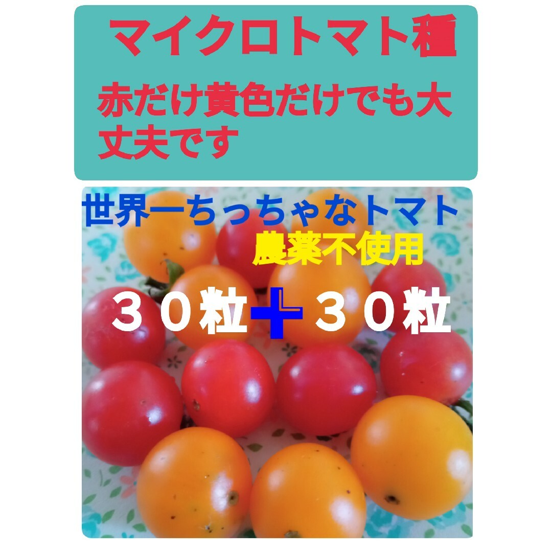 マイクロトマト種　赤➕黄色　どちらかの色だけでも大丈夫です 食品/飲料/酒の食品(野菜)の商品写真