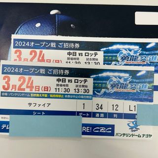 チュウニチドラゴンズ(中日ドラゴンズ)のバンテリンドーム　オープン戦　内野S席　3塁側(野球)