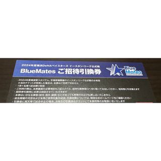 ヨコハマディーエヌエーベイスターズ(横浜DeNAベイスターズ)の横浜DeNAベイスターズ BlueMates イースタン・リーグ公式戦 チケット(野球)