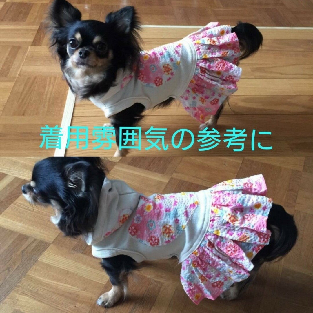 犬服☆ハンドメイド☆セミオーダー ハンドメイドのペット(ペット服/アクセサリー)の商品写真