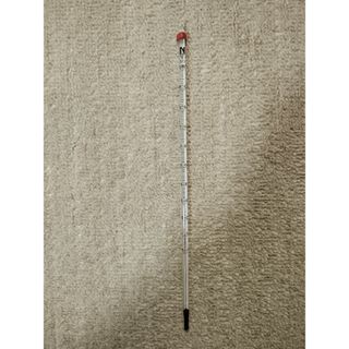赤液（アルコール）棒状温度計（0〜100℃）(その他)