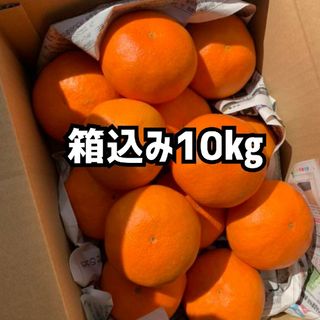 愛媛県産　甘平箱込み約10Kg 柑橘　ミカン(フルーツ)