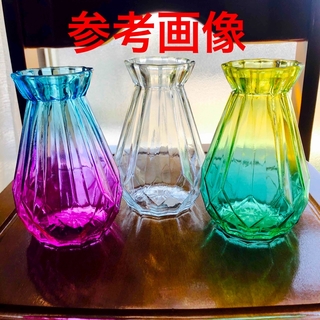 ヒヤシンス 花瓶 3個  水耕栽培 グリーンゴールド オーロラ スケルト(透明)(花瓶)
