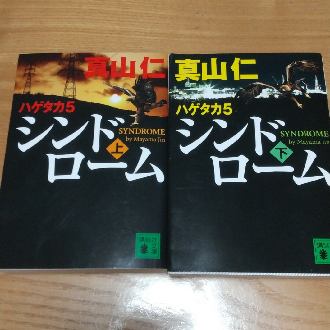 シンドローム上下巻 ２冊セット エンタメ/ホビーの本(その他)の商品写真