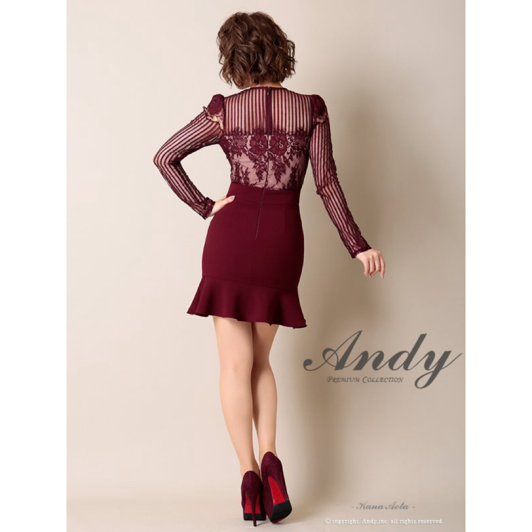 Andy(アンディ)のAndy 赤 レース ドレス レディースのフォーマル/ドレス(ミニドレス)の商品写真