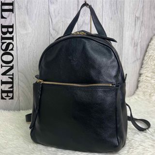 イルビゾンテ(IL BISONTE)の人気♡極美品♡IL BISONTE イルビゾンテ レザー リュック バックパック(リュック/バックパック)