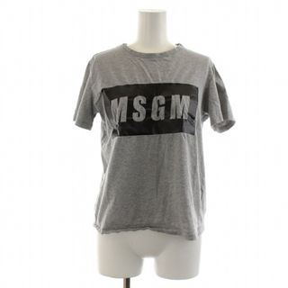 エムエスジイエム(MSGM)のエムエスジーエム Tシャツ カットソー ロゴ S グレー 2442MDM195(Tシャツ(半袖/袖なし))