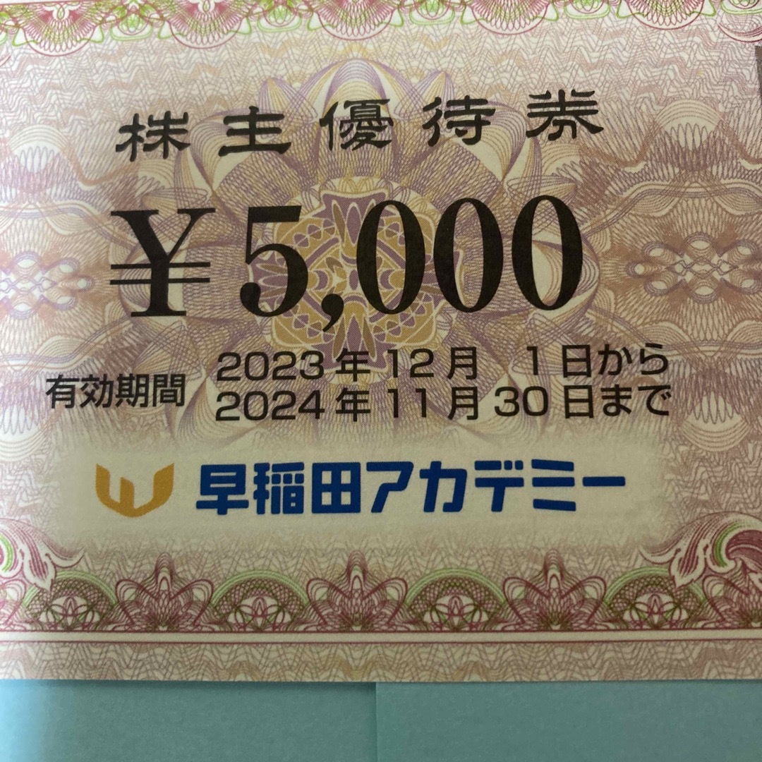 株主優待 早稲田アカデミー ５０００円×２枚 2024.11.30迄その他 - その他